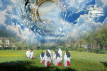Adorazione Eucaristica: “possibilità di gettare uno sguardo verso il Paradiso”