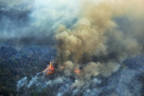 Sicilia in fiamme: i vescovi invitano le comunità di tutte le diocesi ad unirsi domani in preghiera